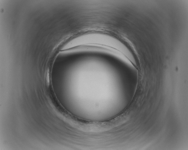 X0000084040020200703022200