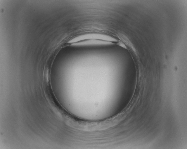 X0000084040021200703022200