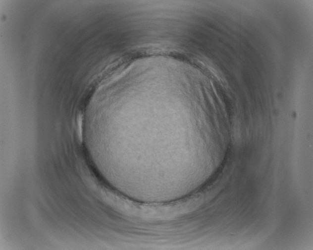 X0000084040022200703022200