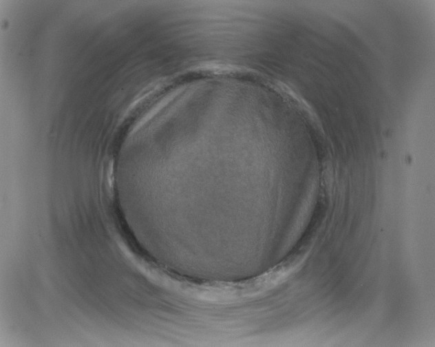 X0000084040024200703022200