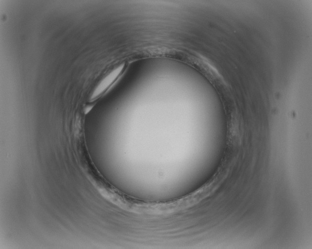 X0000084040025200703022200