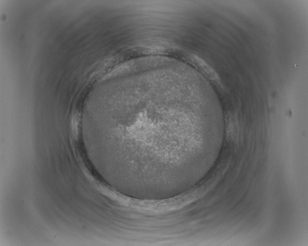 X0000084040026200703022200