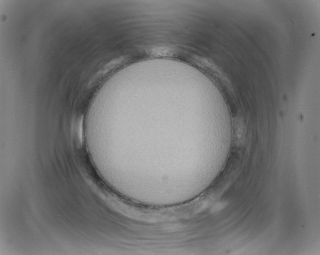 X0000084040028200703022200