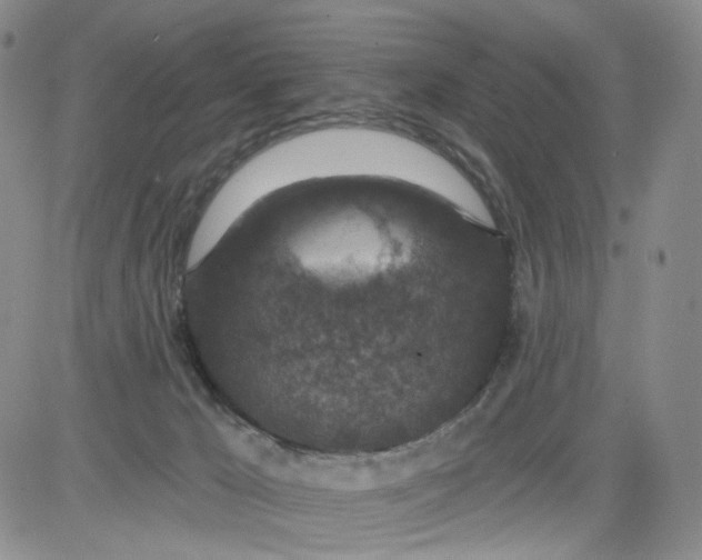 X0000084040029200703022200