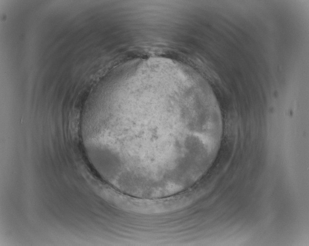 X0000084040030200703022200