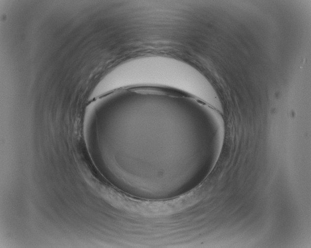 X0000084040031200703022200