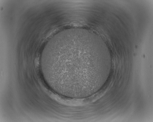 X0000084040032200703022200