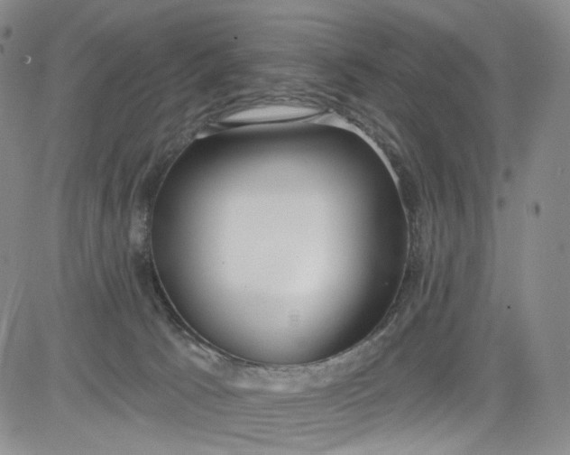 X0000084040033200703022200