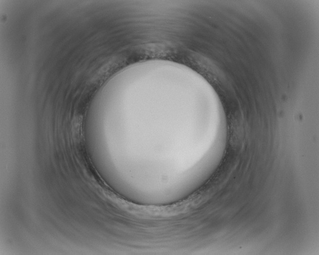 X0000084040034200703022200