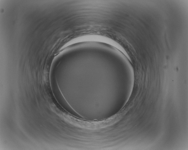 X0000084040035200703022200