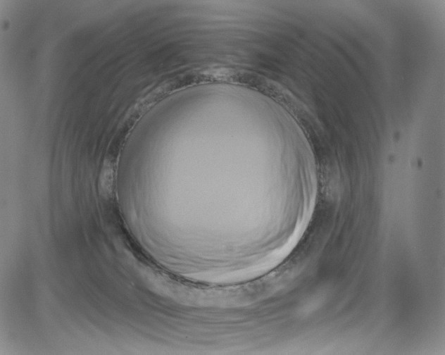 X0000084040036200703022200