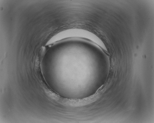 X0000084040037200703022200