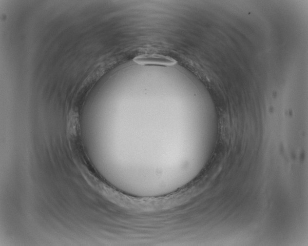 X0000084040038200703022200