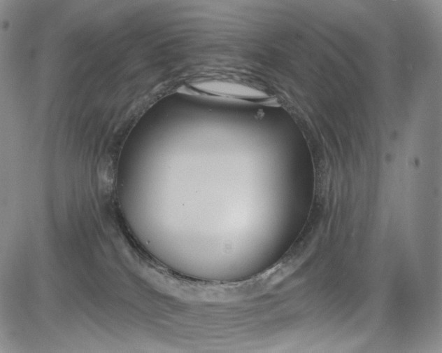 X0000084040040200703022200