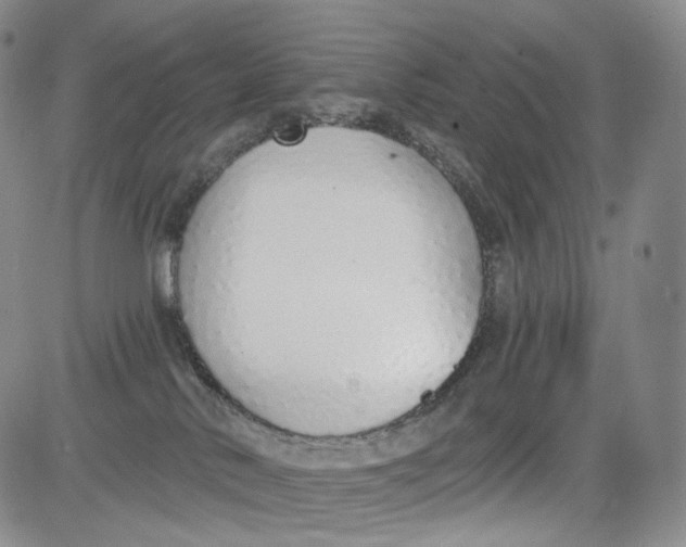 X0000084040042200703022200