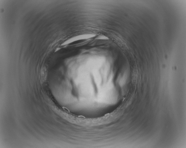 X0000084040043200703022200