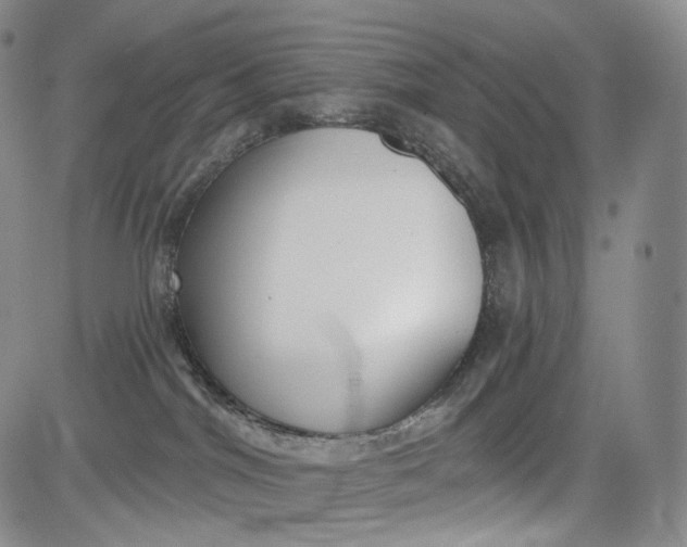 X0000084040044200703022200