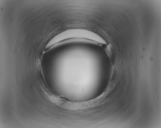 X0000084040045200703022200