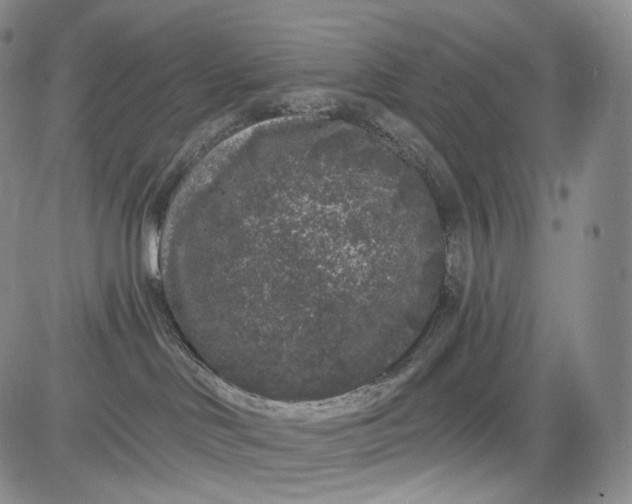 X0000084040046200703022200