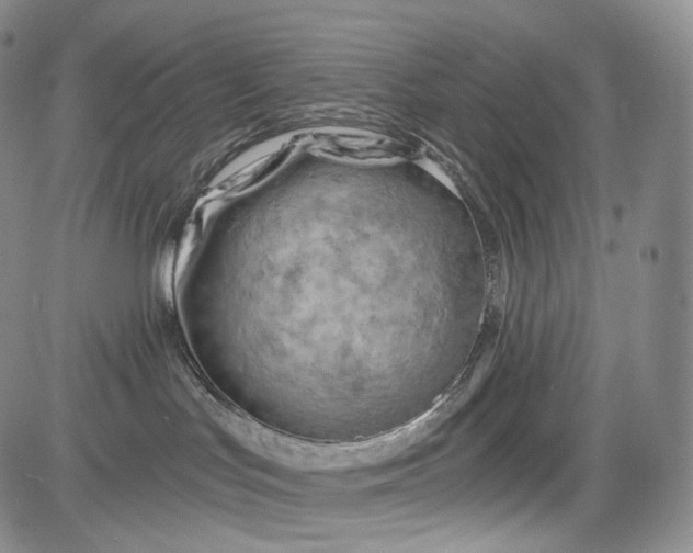 X0000084040047200703022200