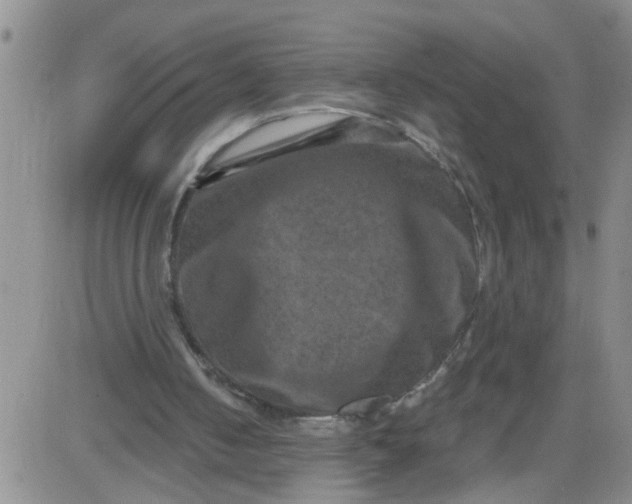 X0000084040050200703022159