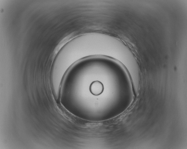 X0000084040051200703022159