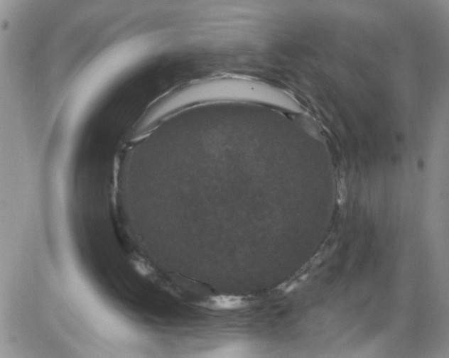 X0000084040052200703022159