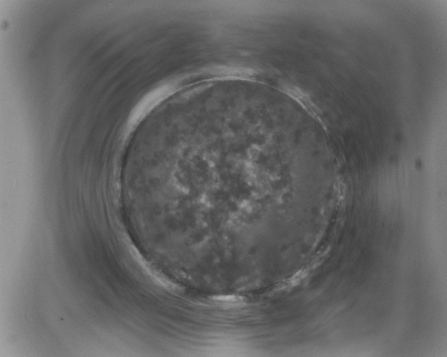 X0000084040053200703022159