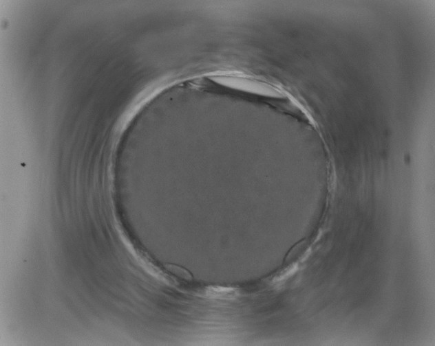 X0000084040055200703022159