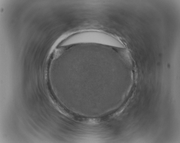 X0000084040056200703022159