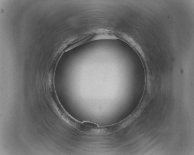 X0000084040057200703022159