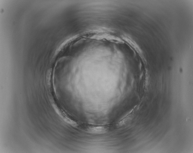 X0000084040058200703022159