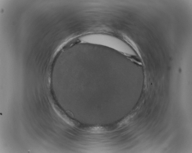 X0000084040059200703022159