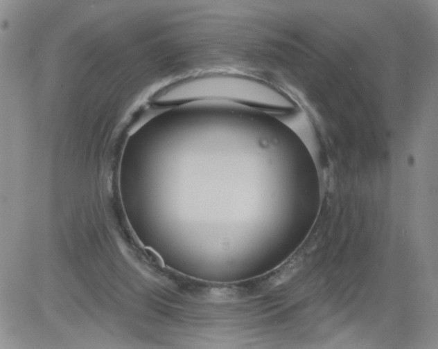 X0000084040060200703022159