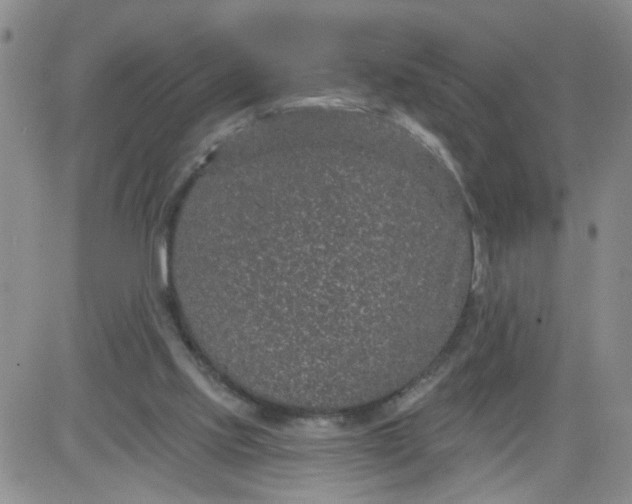 X0000084040061200703022159