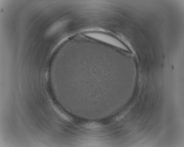 X0000084040063200703022159