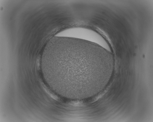 X0000084040065200703022159