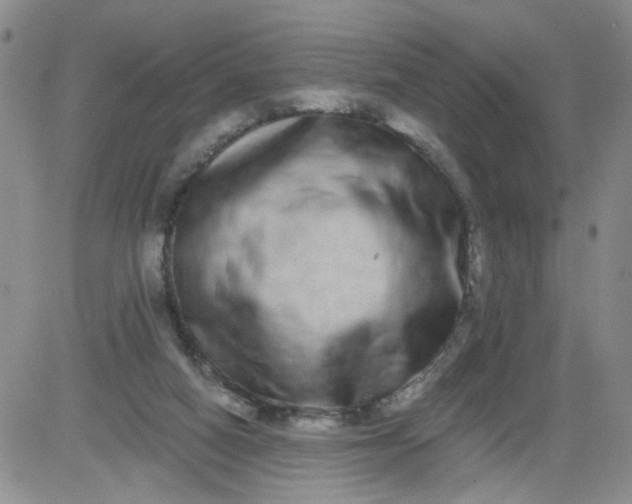 X0000084040066200703022159