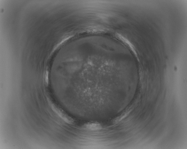 X0000084040067200703022159