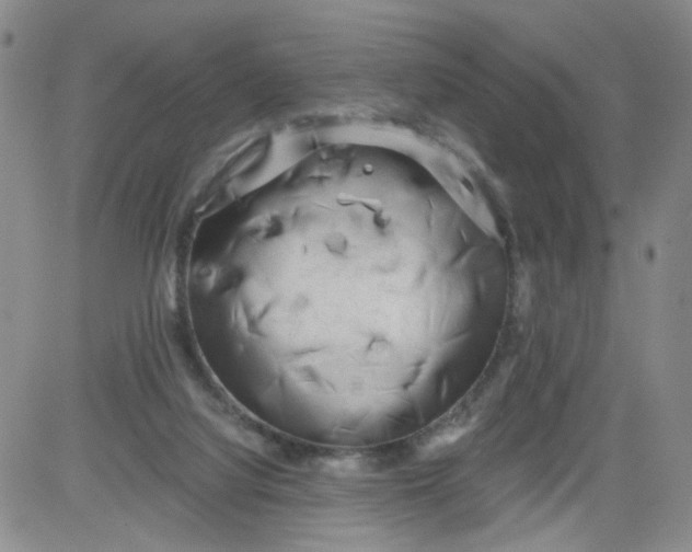 X0000084040068200703022159