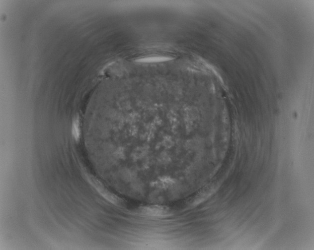 X0000084040069200703022159