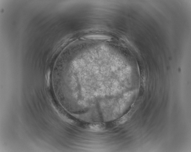 X0000084040070200703022159