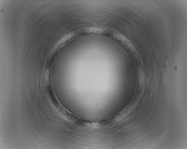 X0000084040071200703022159