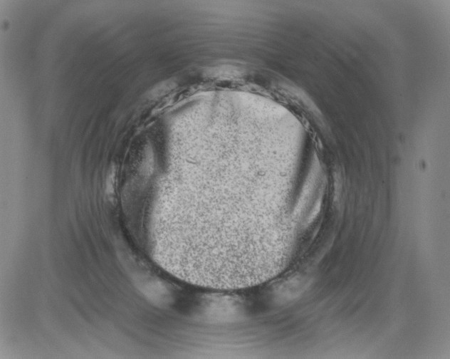 X0000084040073200703022159