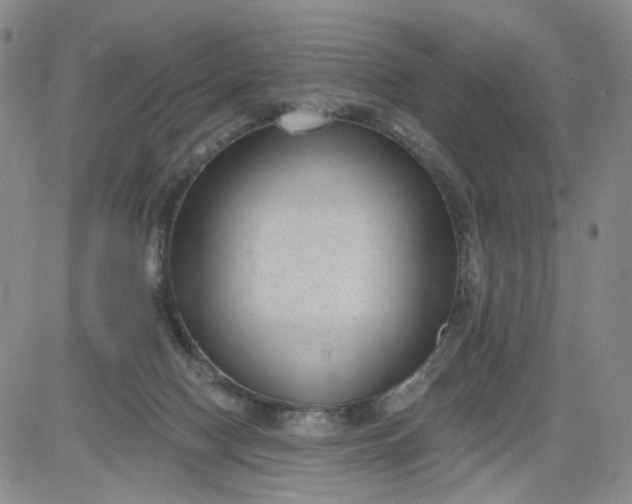 X0000084040074200703022159