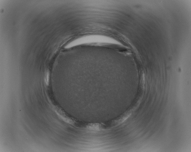 X0000084040076200703022200