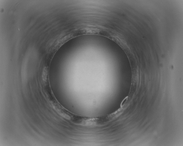 X0000084040078200703022200