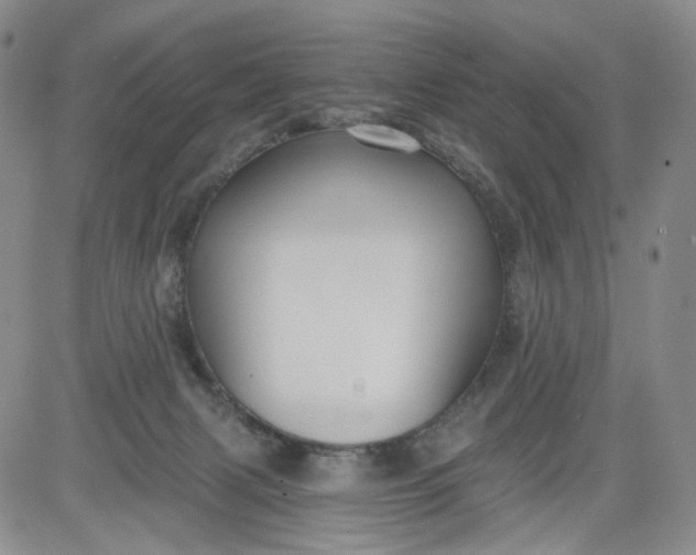 X0000084040079200703022200