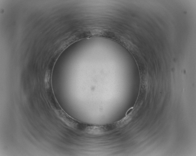 X0000084040082200703022200