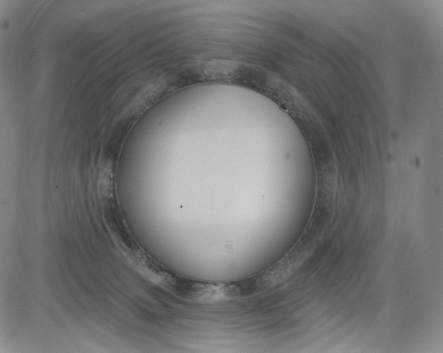 X0000084040083200703022200